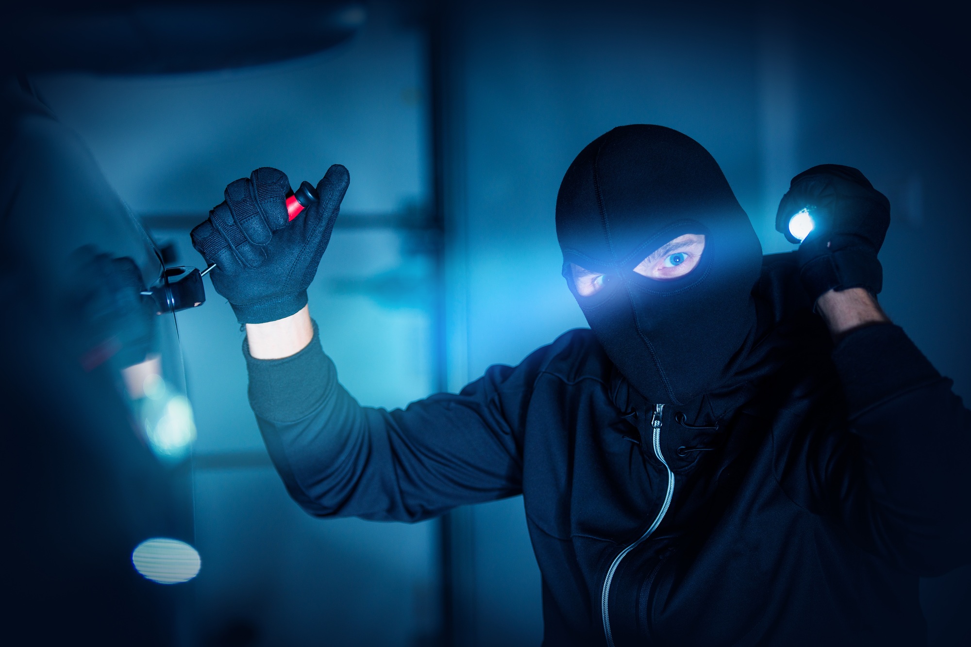 Car Thief Car Robbery